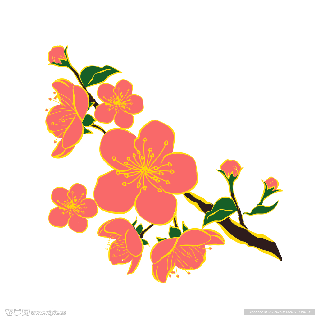 樱花