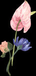 花素材            