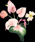 花素材            