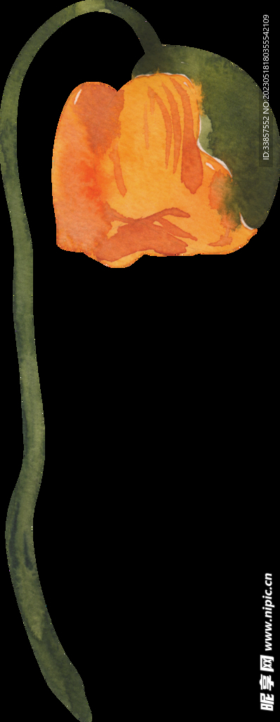 花素材            