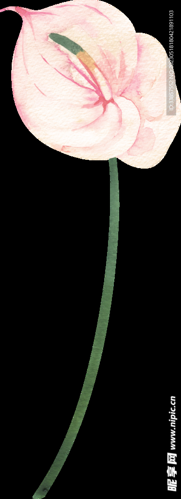 花素材            