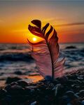 夕阳