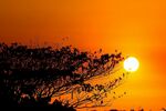夕阳