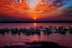 夕阳