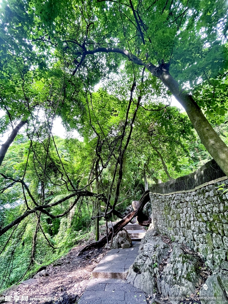 杭州玉皇山