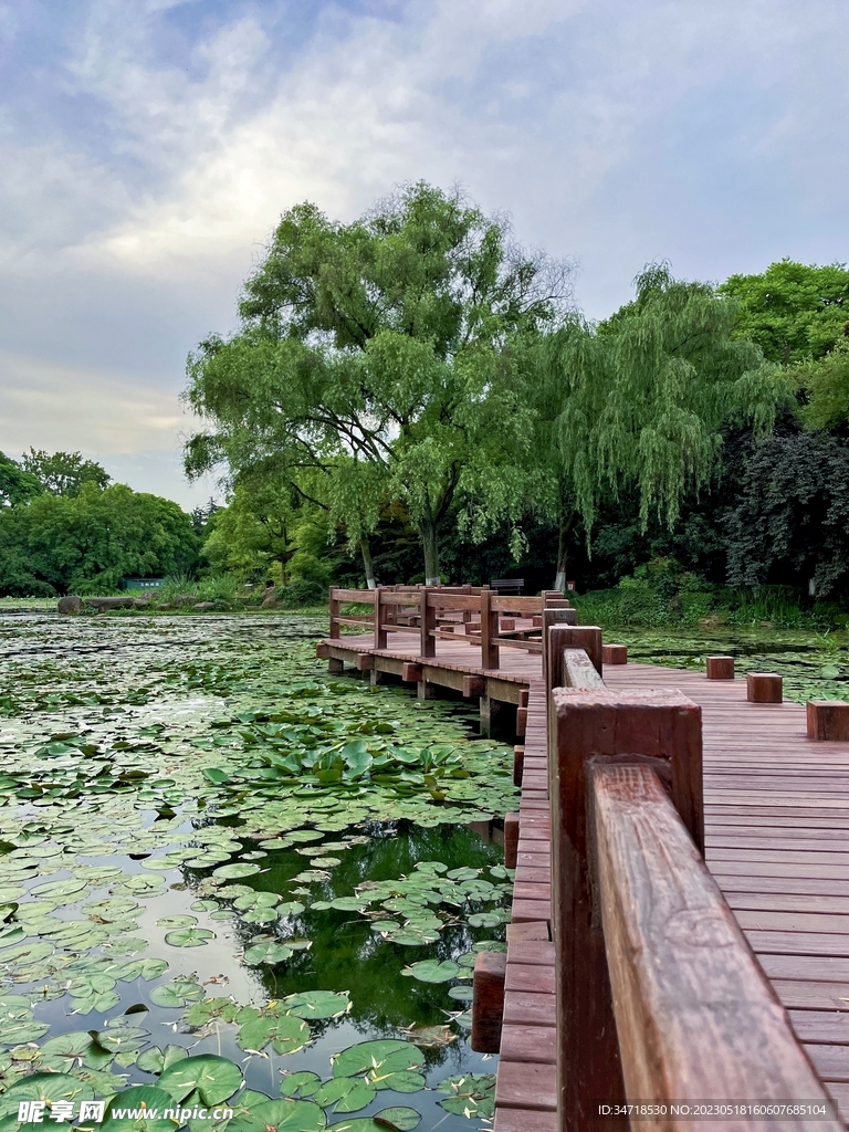 杭州生态公园
