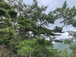 山海