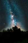 星空与树