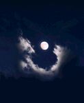 月亮与星空