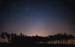 树与星空