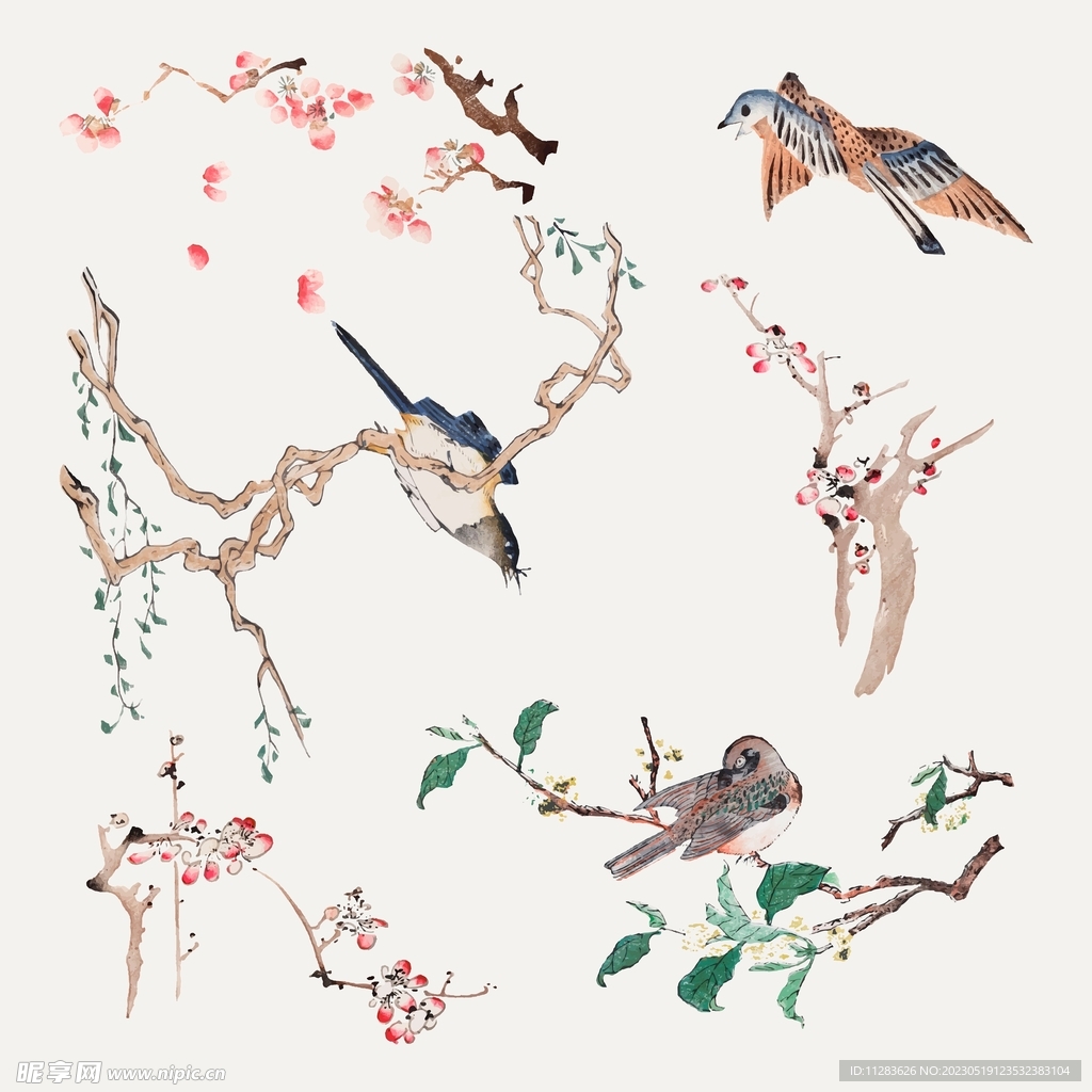 中式花鸟素材