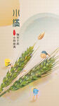 小满节气海报