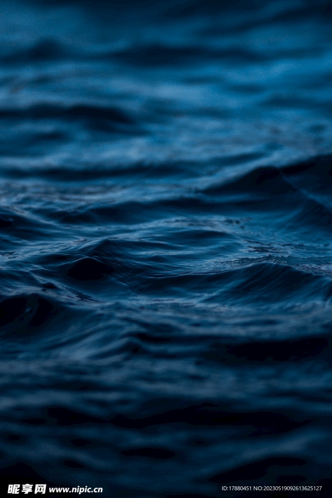 大海