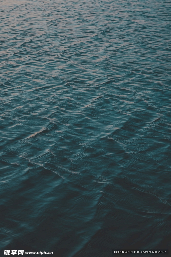 大海
