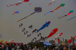 山东潍坊40届国际风筝节