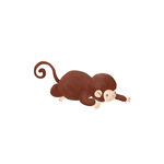 猴子