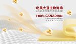 床垫广告高级北美加拿大大豆生物