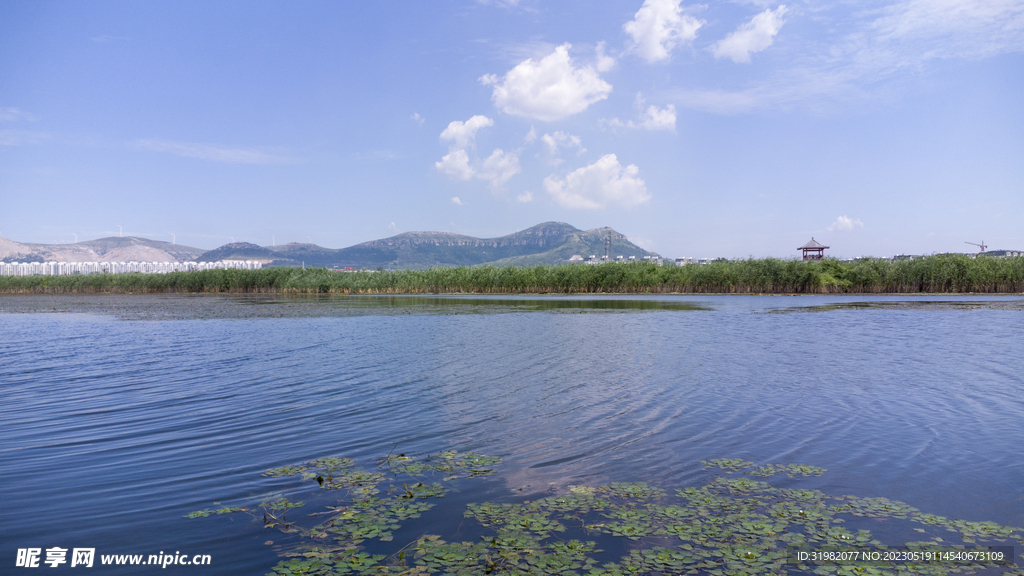 东平湖