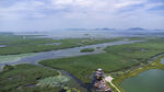 东平湖湿地
