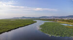 东平湖湿地