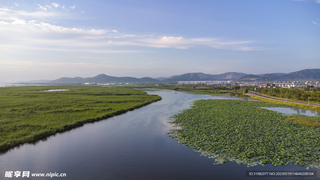 东平湖湿地