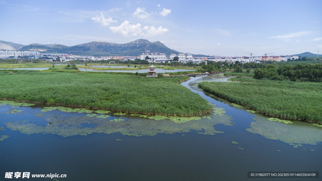 东平湖湿地