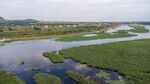东平湖湿地