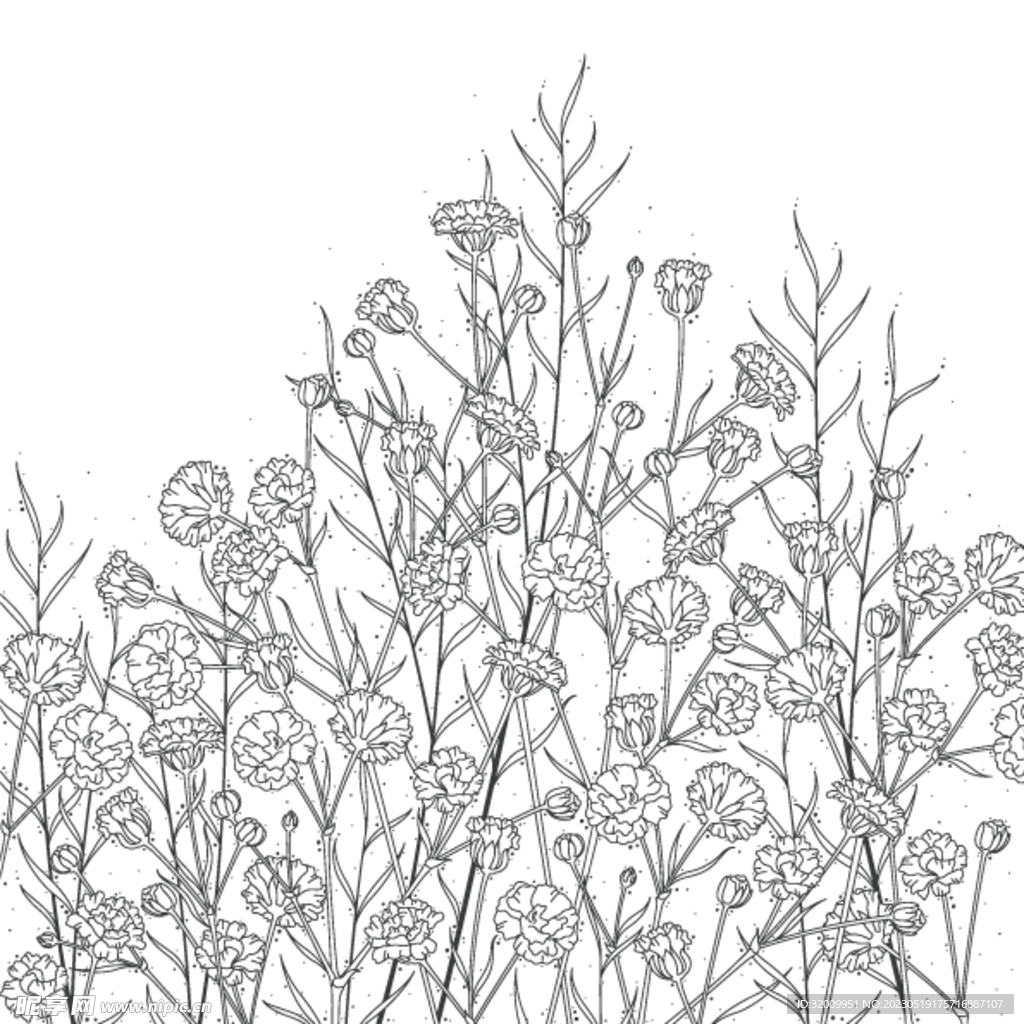 蒲公英线描矢量        