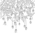 蒲公英线描矢量        