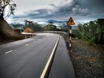 山路风光