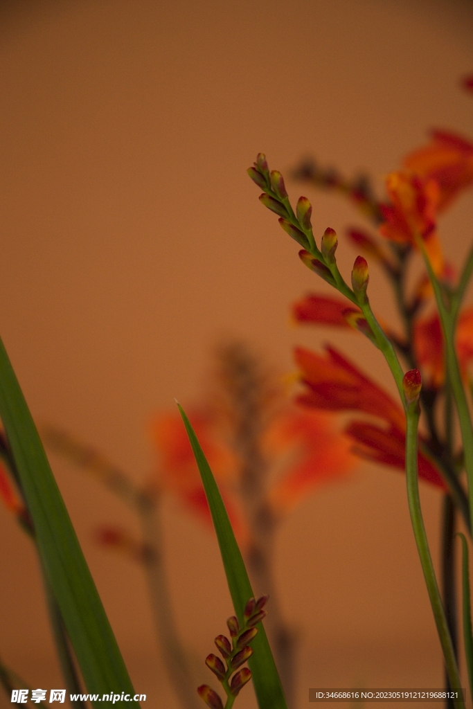 花