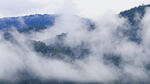 山林雾气