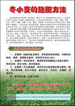 冬小麦施肥方法