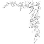 线描植物矢量         