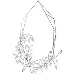 线描植物矢量         