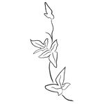 线描植物矢量         