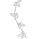 线描植物矢量         
