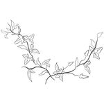 线描植物矢量         