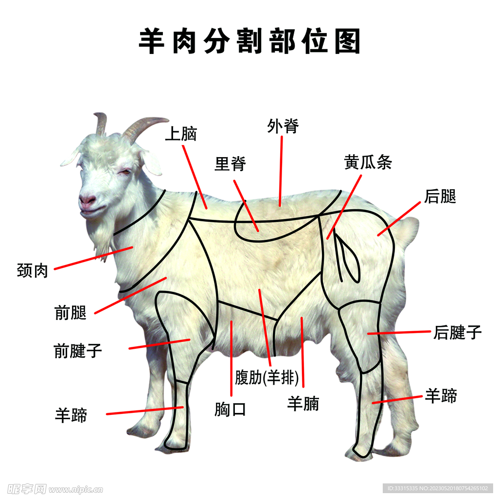 羊肉分割图