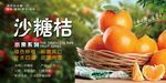 沙糖桔 吊牌 水果