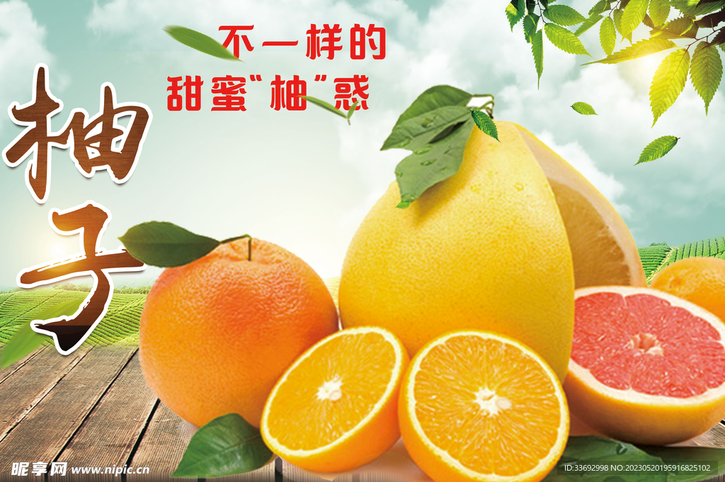 柚子 水果 展板
