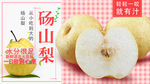 砀山梨 酥梨  水果