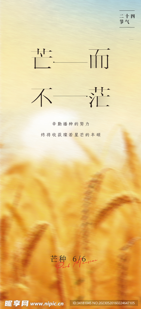 芒种海报