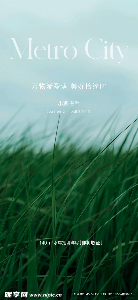 芒种海报