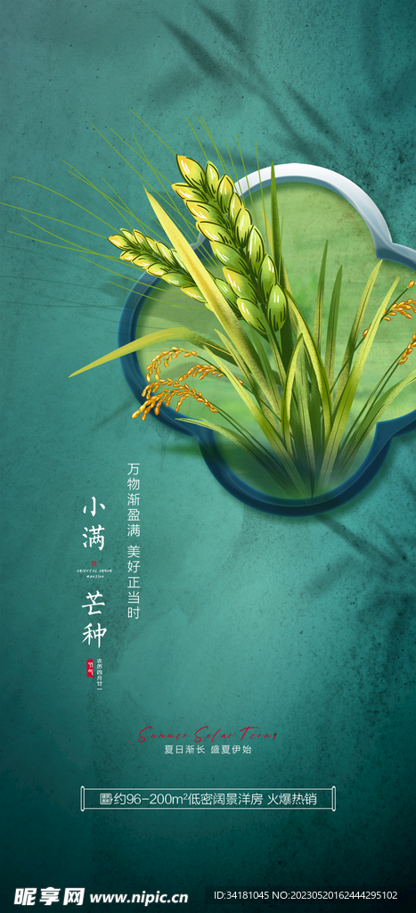 芒种海报