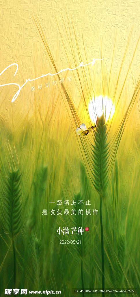 芒种24节气海报