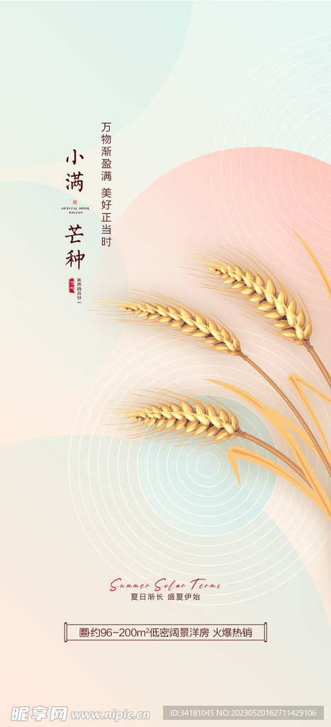 芒种24节气海报