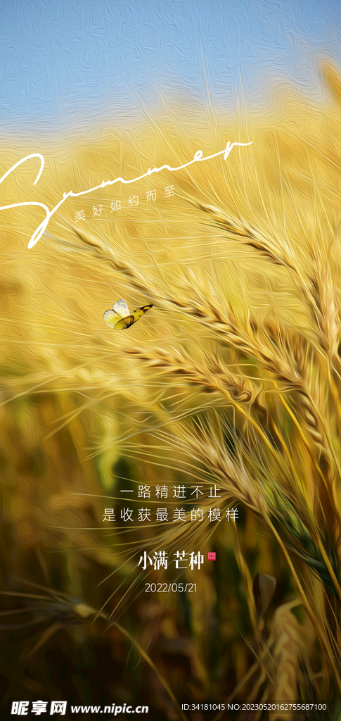芒种24节气海报