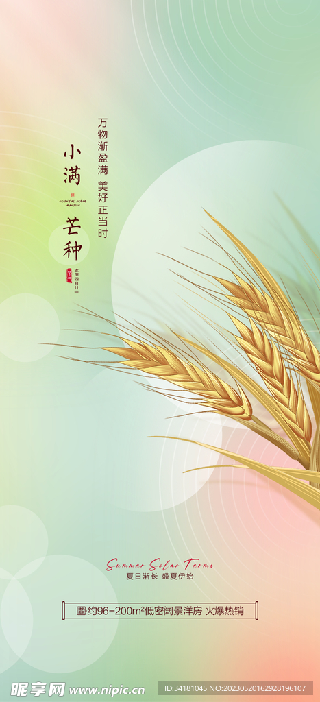 芒种24节气