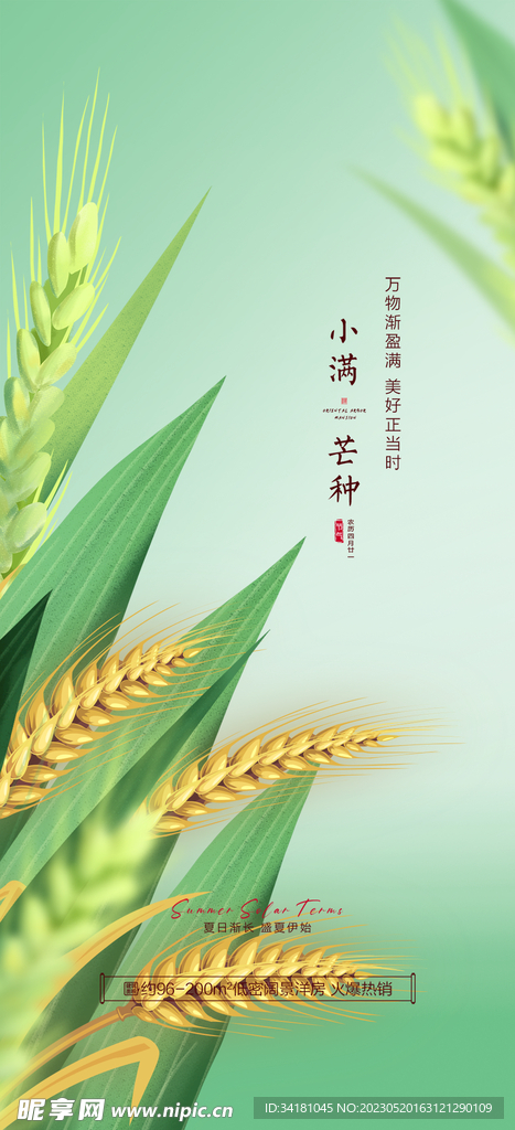 小满芒种海报